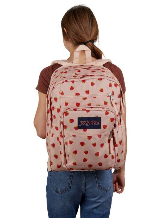 JanSport Big Student 17.5\